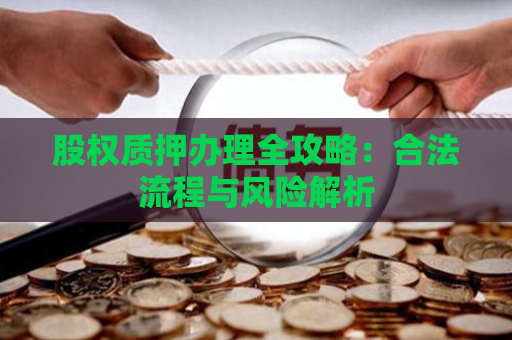 股权质押办理全攻略：合法流程与风险解析