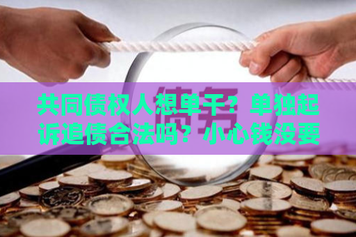 共同债权人想单干？单独起诉追债合法吗？小心钱没要到反惹一身骚！